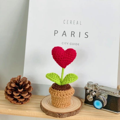 Handmade Knitted Flower Pot, Red Heart Shaped Planter, Valentine's Day Gift, Home Desktop Decor