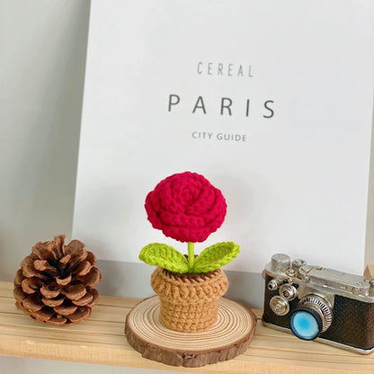 Handmade Knitted Flower Pot, Red Heart Shaped Planter, Valentine's Day Gift, Home Desktop Decor