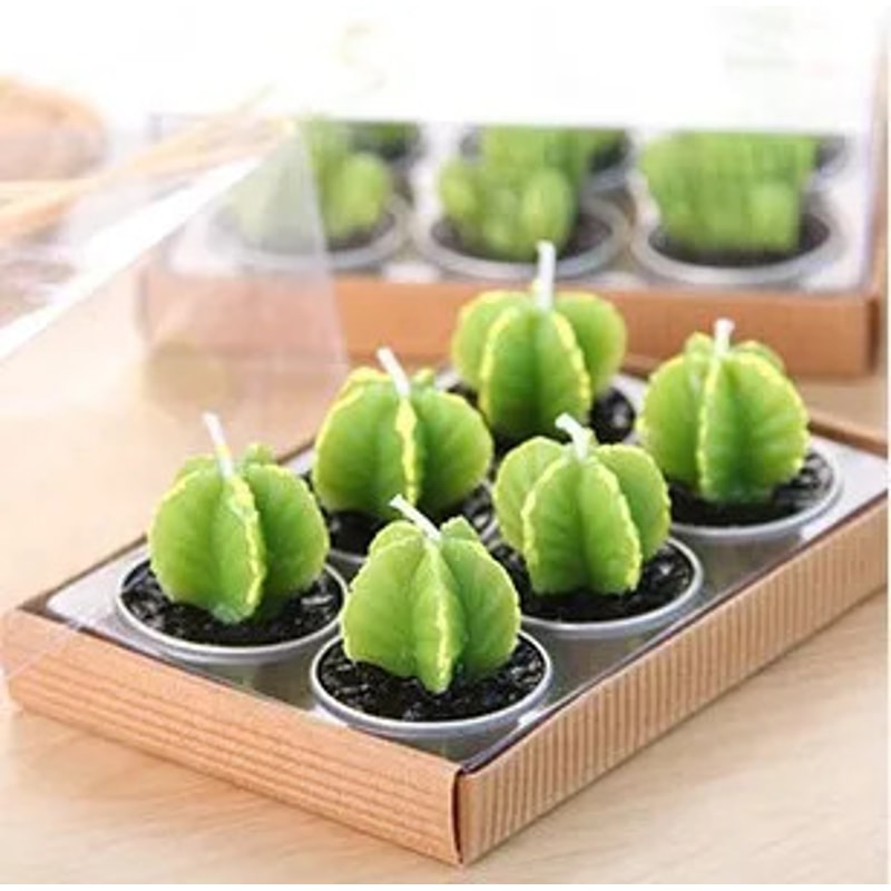 Mini Cactus Candles