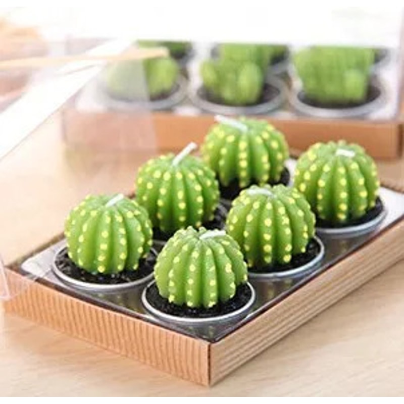 Mini Cactus Candles